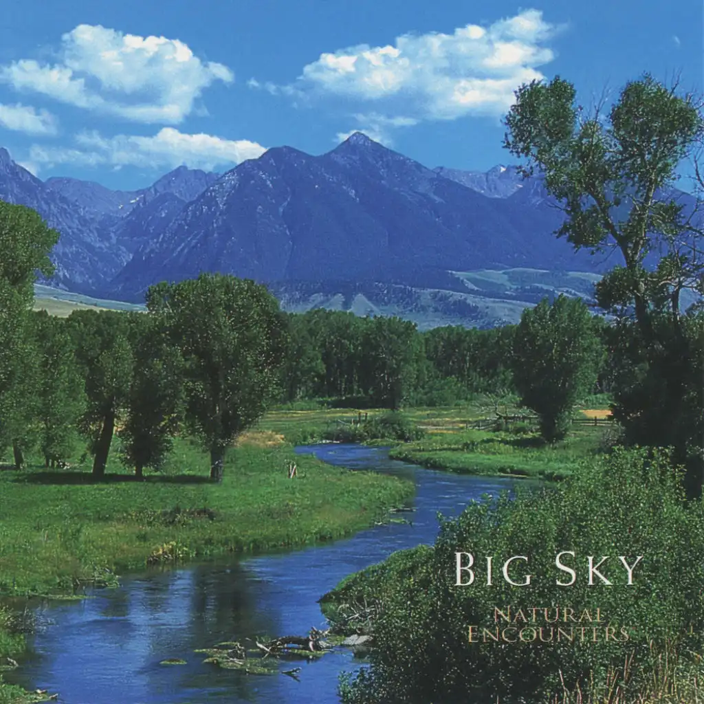 Natural Encounters: Big Sky