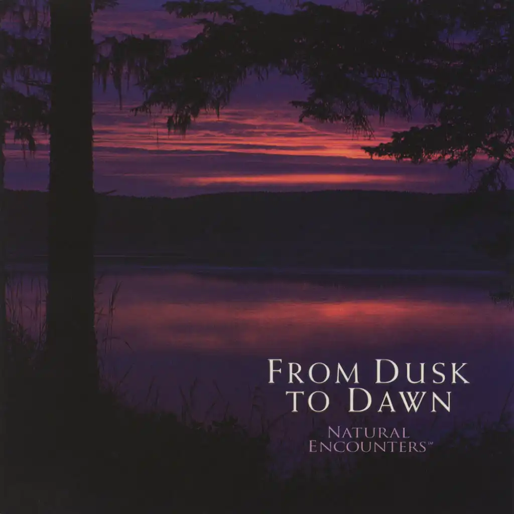 Natural Encounters: From Dusk to Dawn