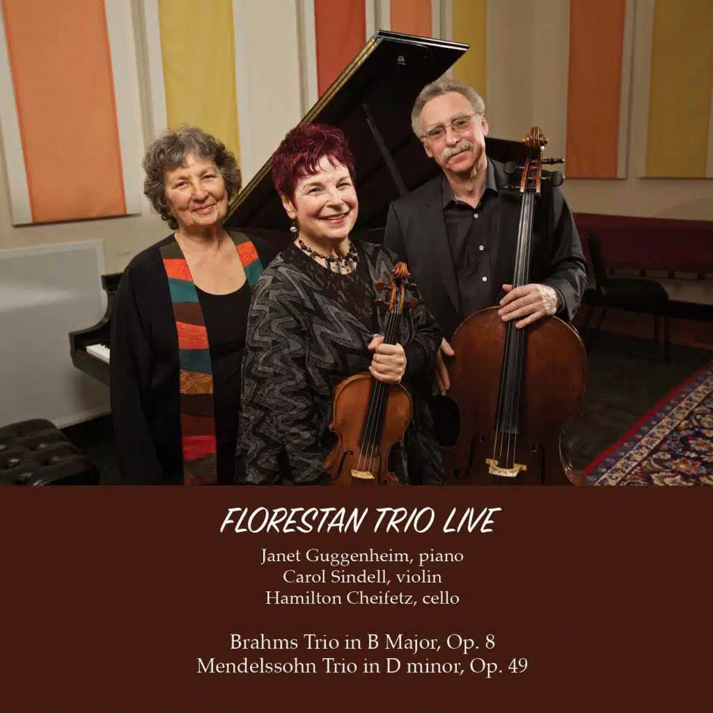 Piano Trio No. 1 in D Minor, Op. 49: I. Molto allegro ed agitato (Live)