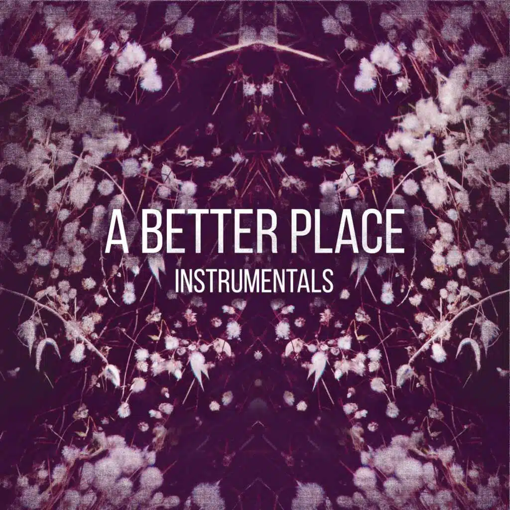 A Better Place Instrumentals