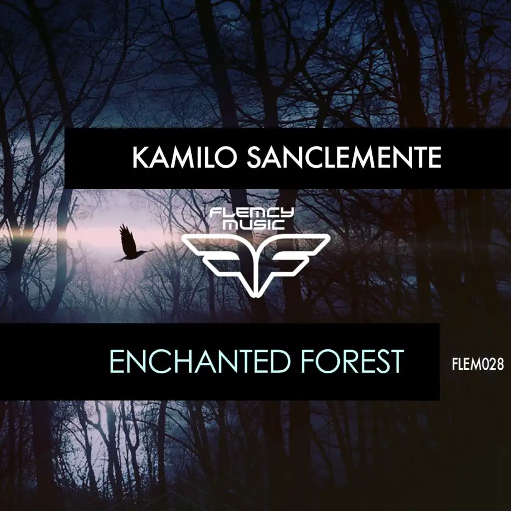 Enchanted Forest (Ornery Remix)