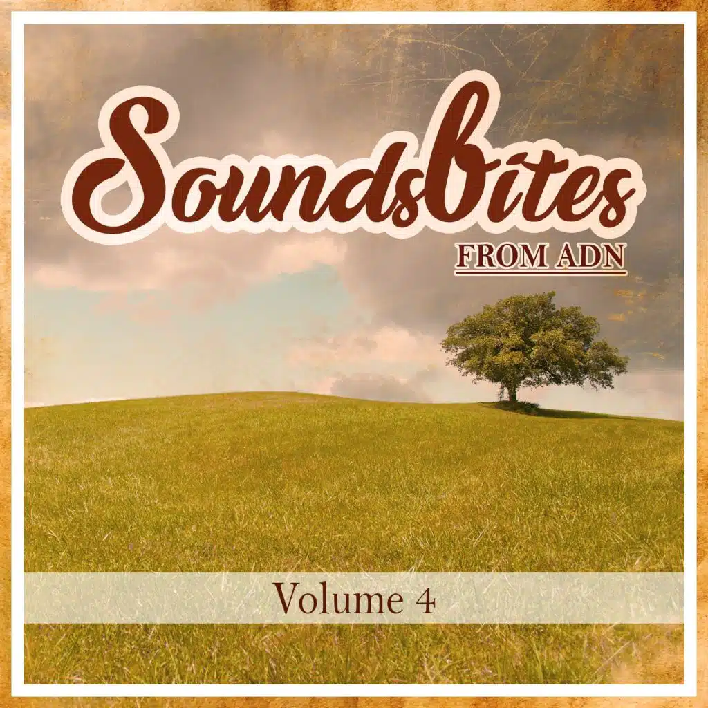 Soundbites From ADN, Vol. 4