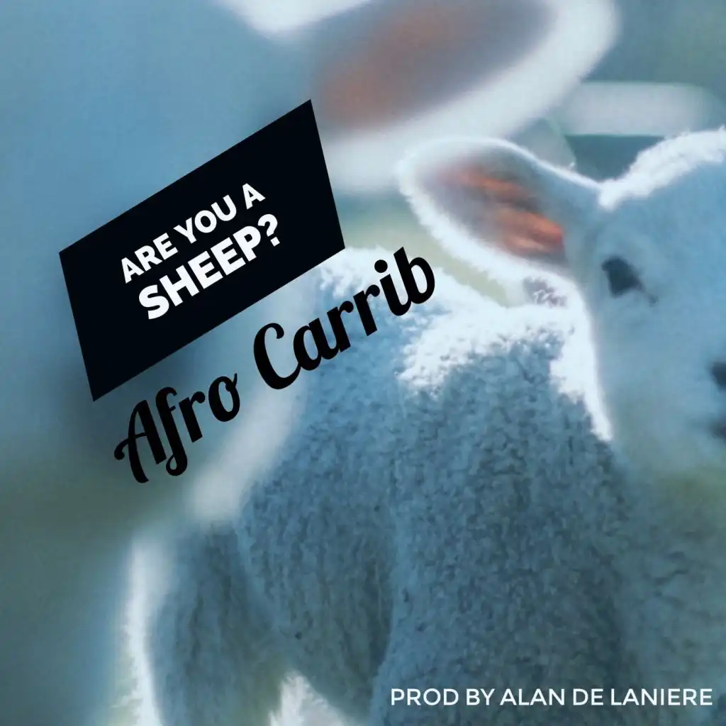 Are You A Sheep?