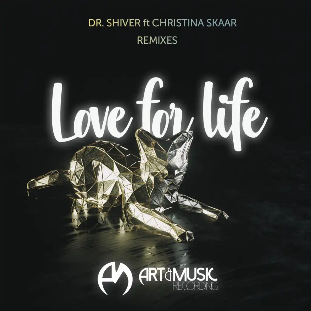 Love For Life (Jesse James Remix) (Jesse James Remix) [feat. Christina Skaar]