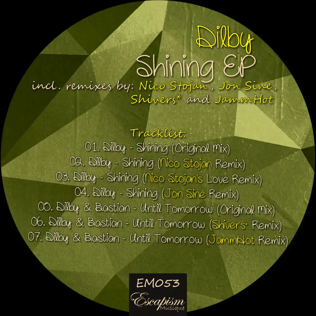 Shining (Nico Stojan Remix)