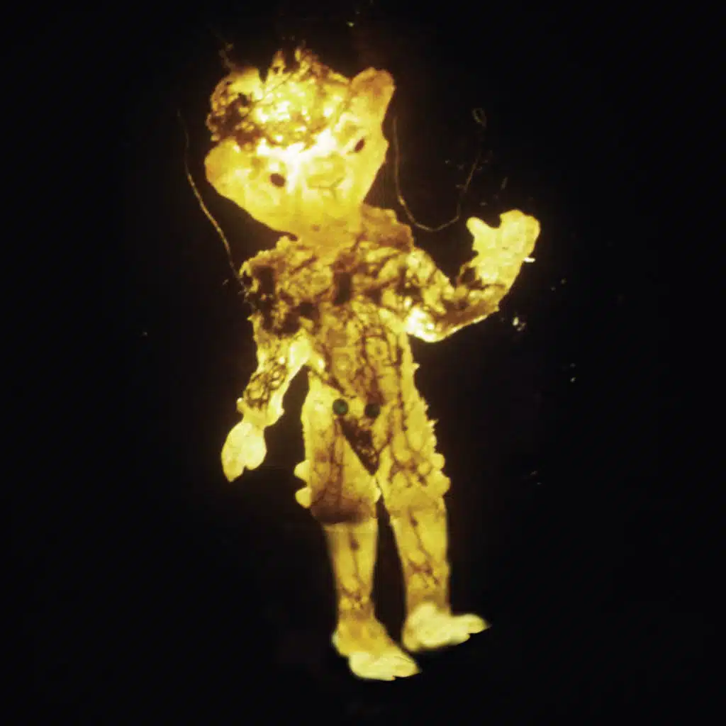 On the Outside (Looking In)