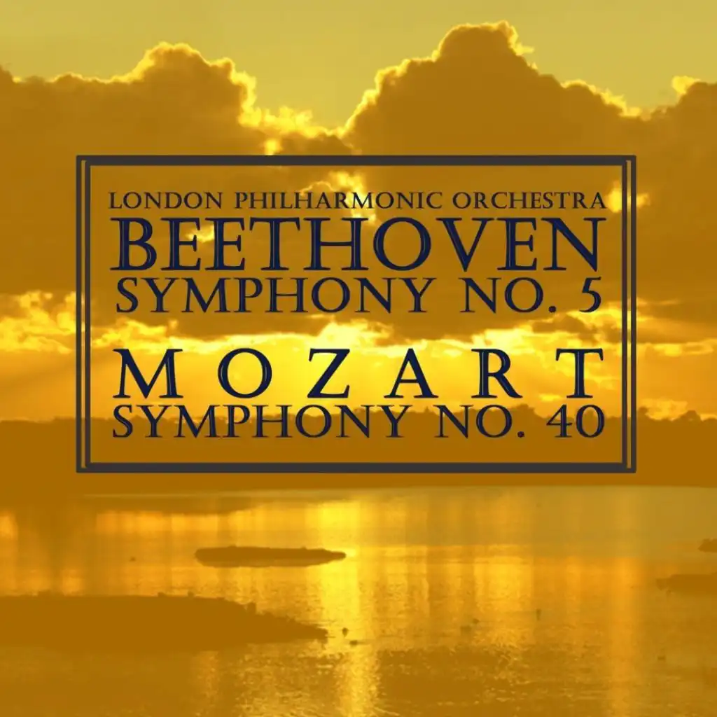 Symphony No. 5 in C Minor, Op. 67: II. Andante con moto