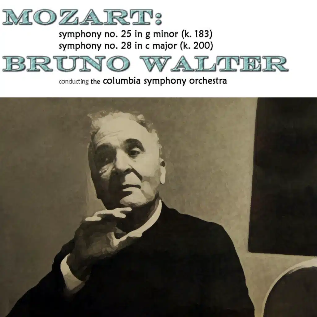 Symphony No. 28 in C Major, K. 200: II. Andante