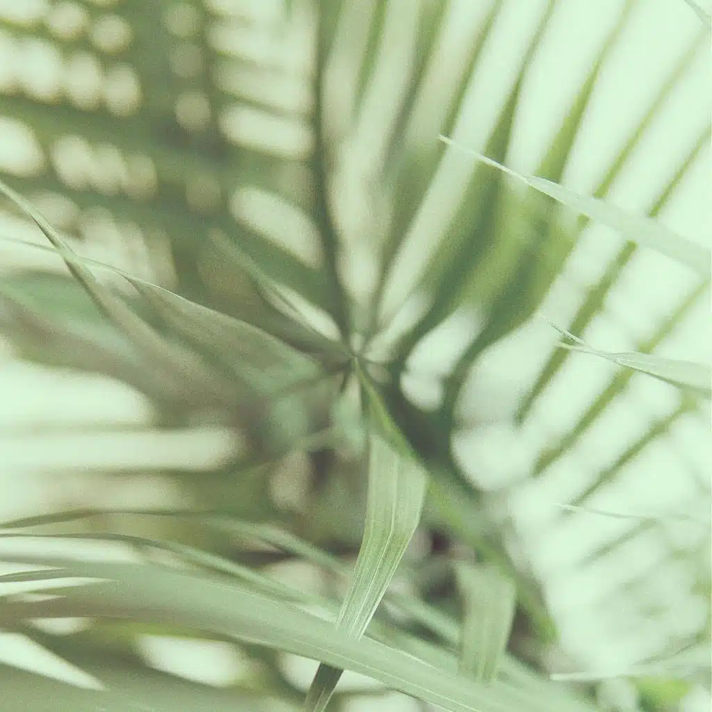 [breezomrcy synthwar]