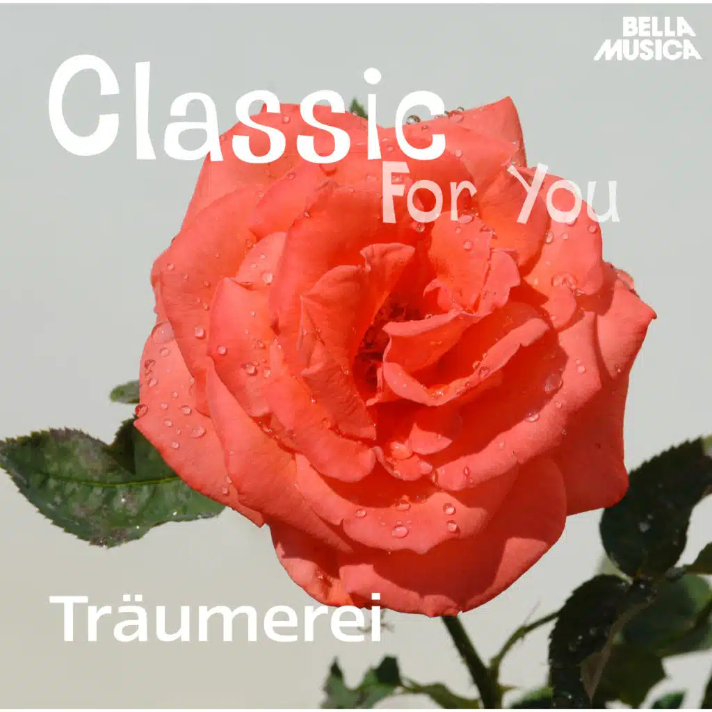 Moment Musical No. 3 in F Minor, Op. 94: II. Allegro moderato