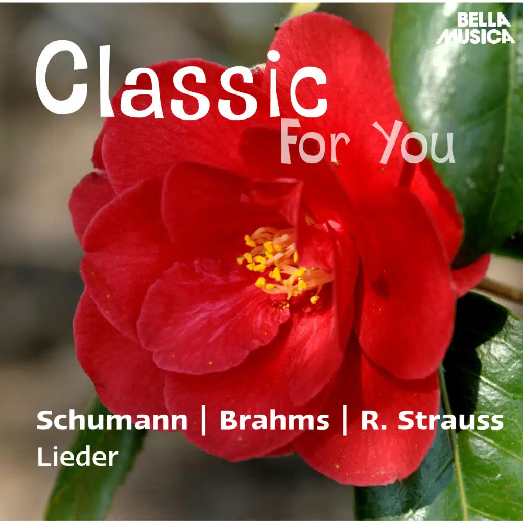 Vier Lieder für eine Singstimme und Klavier, Op. 96, Nr. 2: Wir wandelten