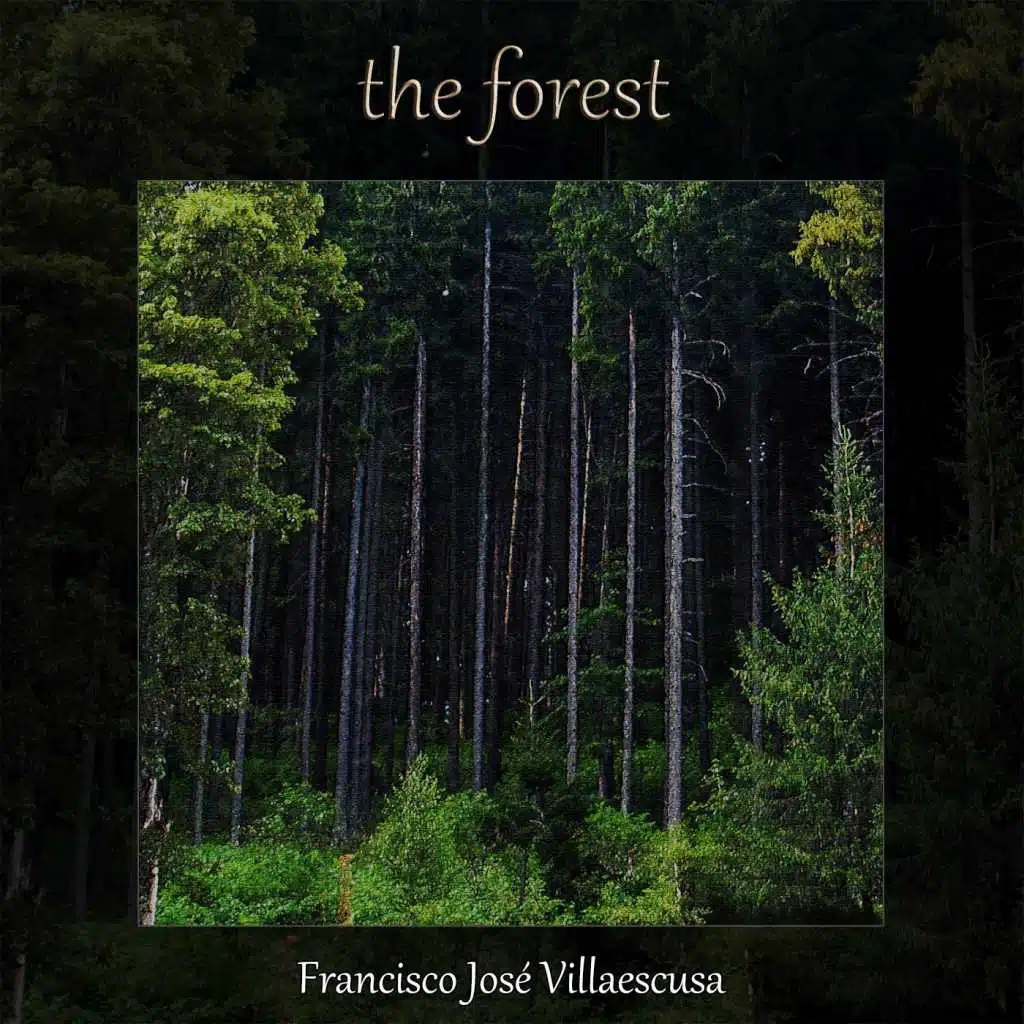 The Forest