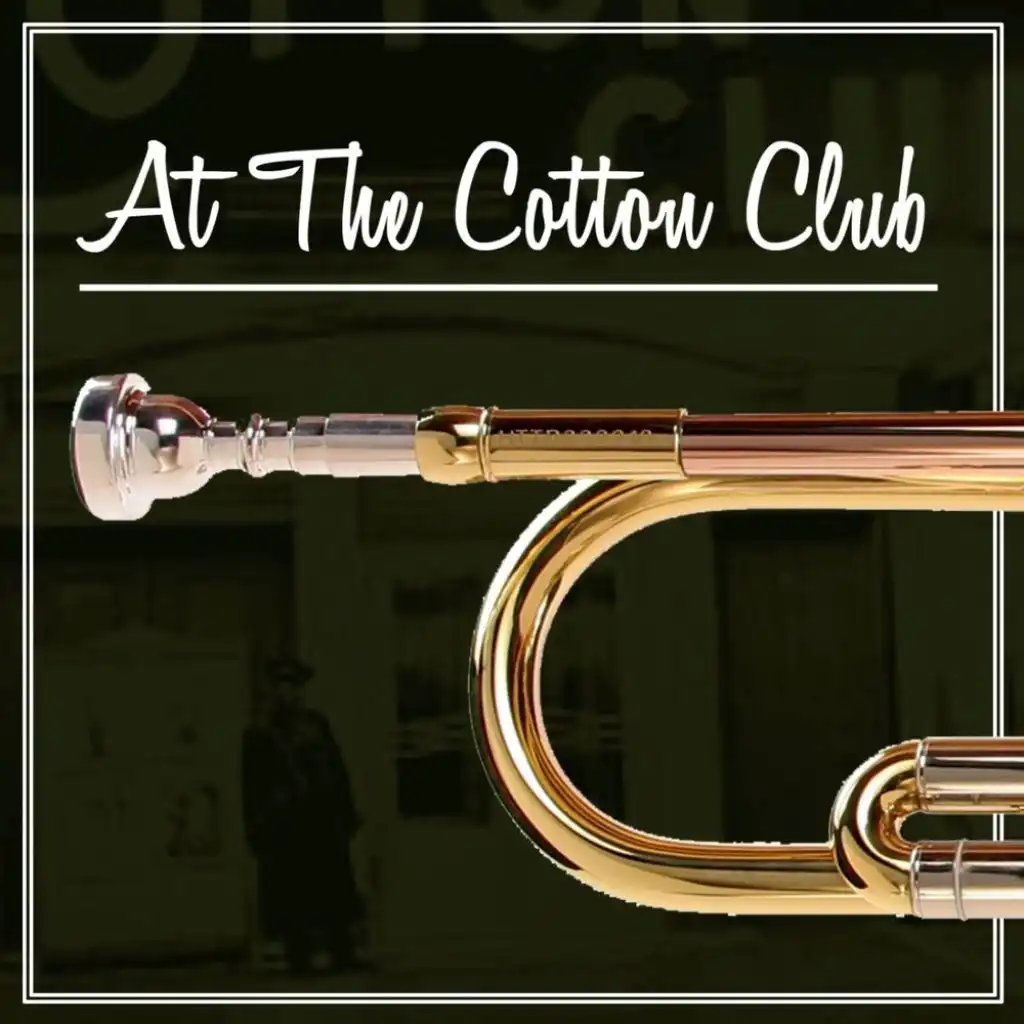 At The Cotton Club