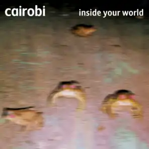 Inside Your World