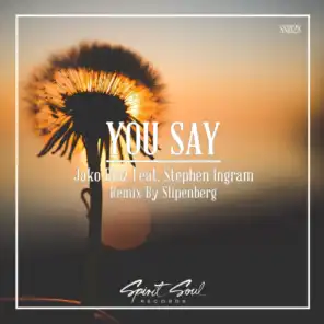 You Say (Slipenberg Radio Remix)