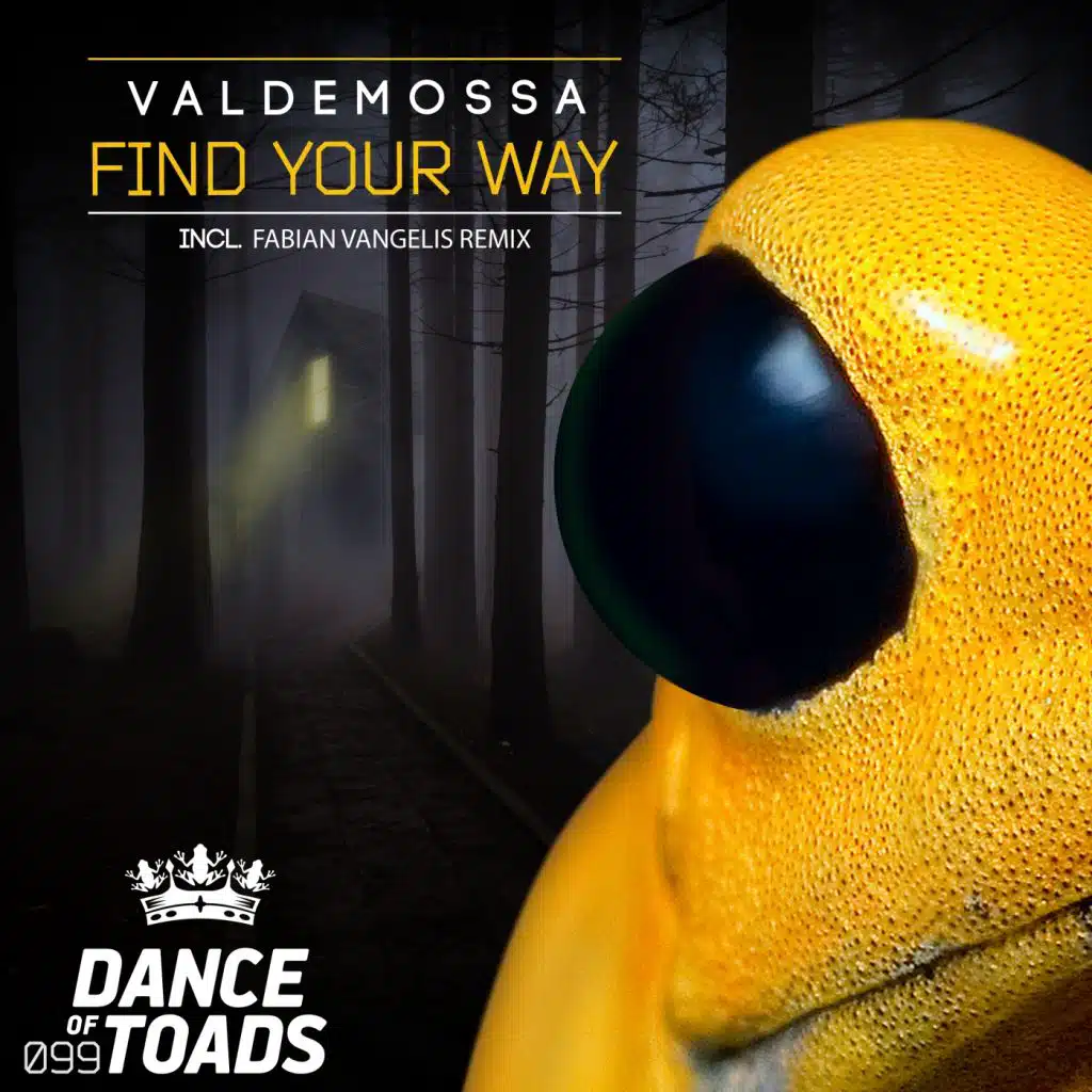 Find Your Way (Fabian Vangelis Edit)