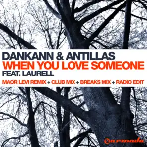 When You Love Someone (Maor Levi Radio Edit) [feat. Laurell]