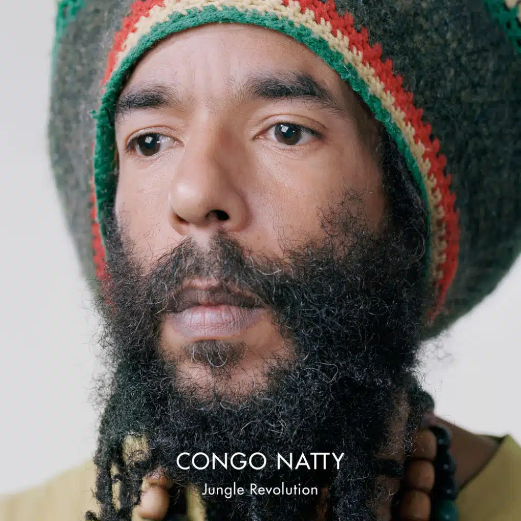 Jah Warriors (Congo Natty Meets Vital Elements Mix) [feat. Rebel MC, Nanci Correia, YT & Junior Congo Yosief Tafari]