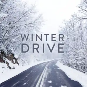 Winter Drive