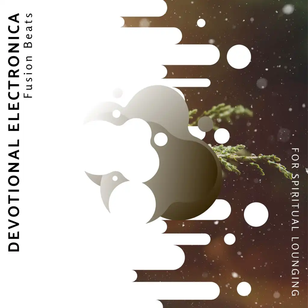 Buddha Shanti (Indian Devotional World Lounge)