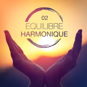 Equilibre harmonique, Vol. 2