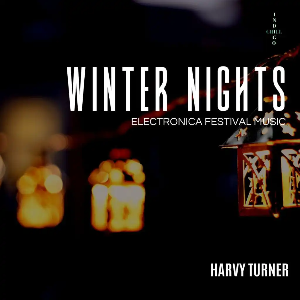 Winter Nights (Electronica Festival Music)