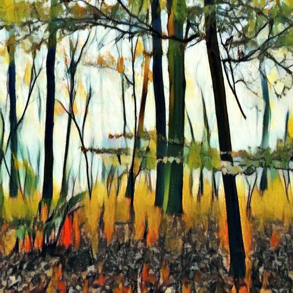 t0.n0.n0, Kamal Imani