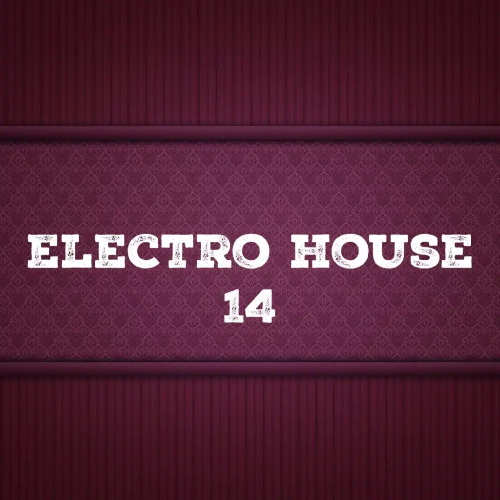 Electro House, Vol. 14