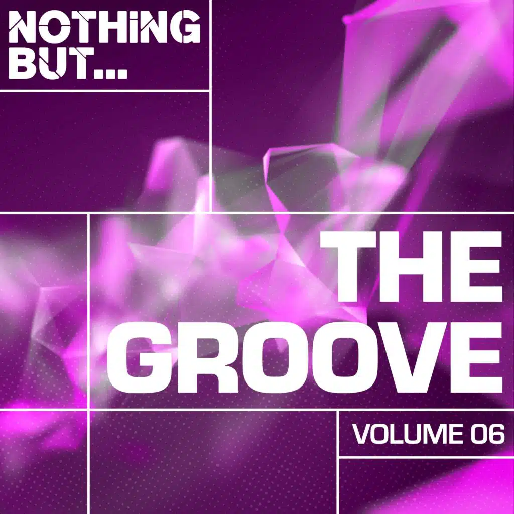 Nothing But... The Groove, Vol. 06