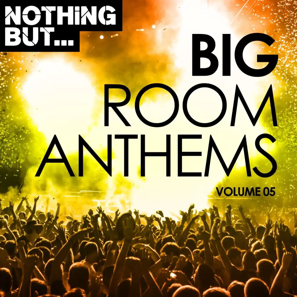 Nothing But... Big Room Anthems, Vol. 05