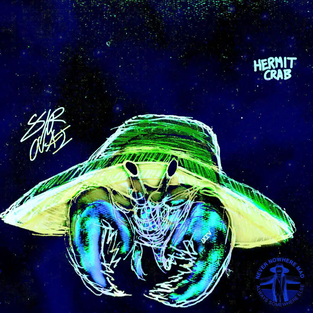 Hermit Crab