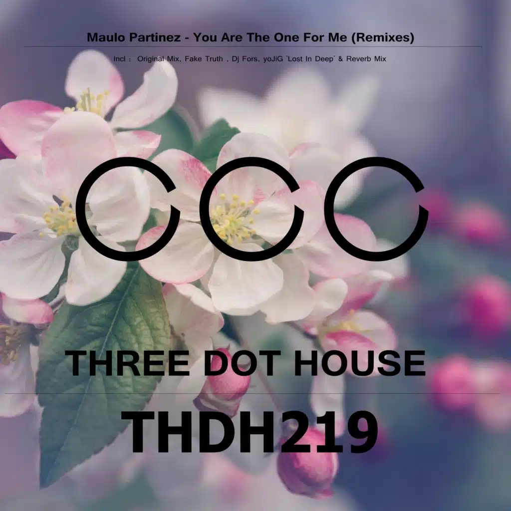 You Are The One For Me (DJ Fors Remix)