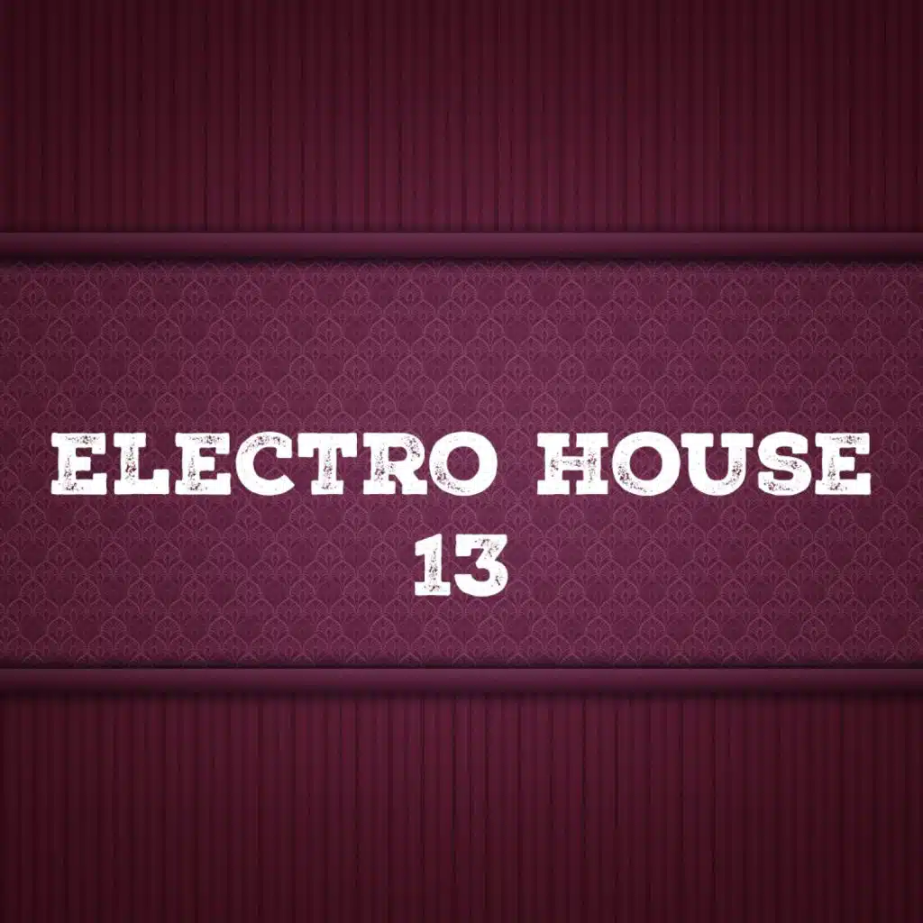Electro House, Vol. 13