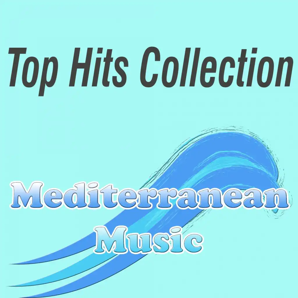 Top Hits Collection