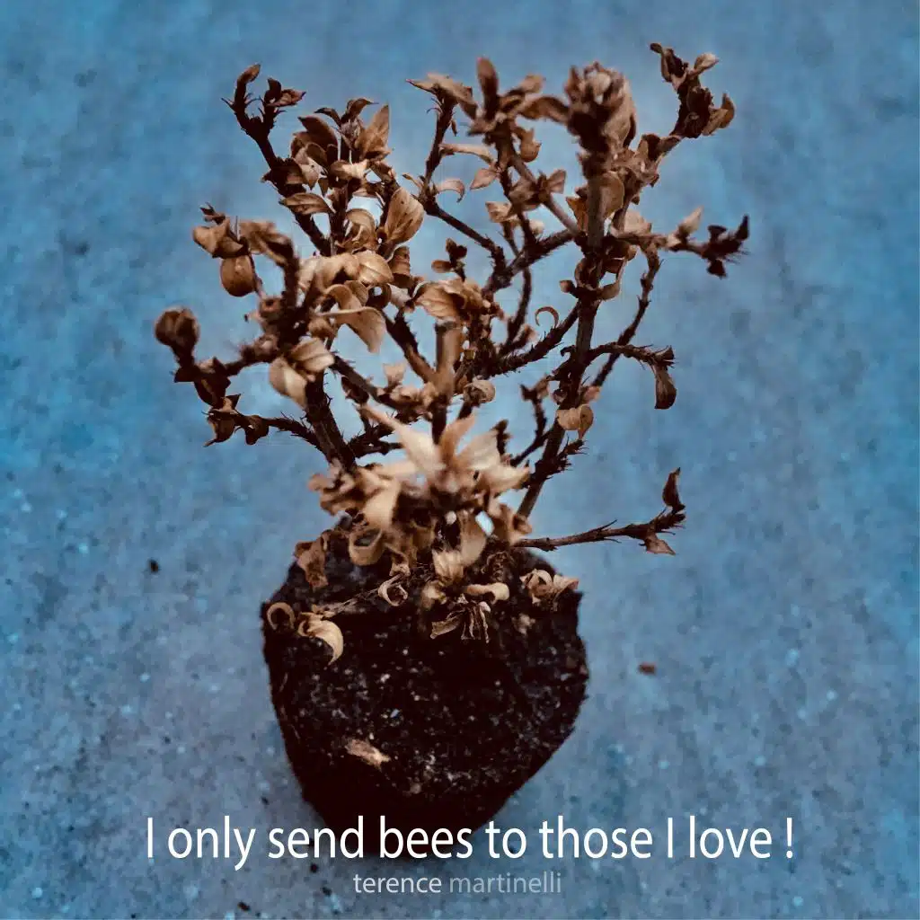 I Only Send Bees to Those I Love!