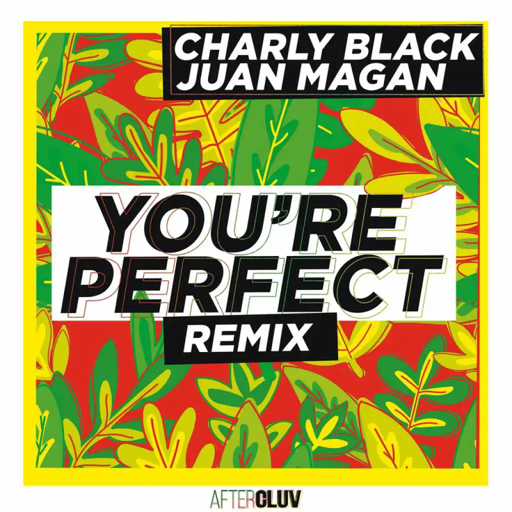 You're Perfect (Remix) [feat. Juan Magán & Yonny Atella]