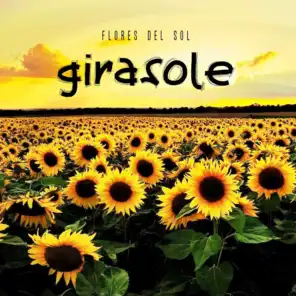 Girasole (Instrumental)