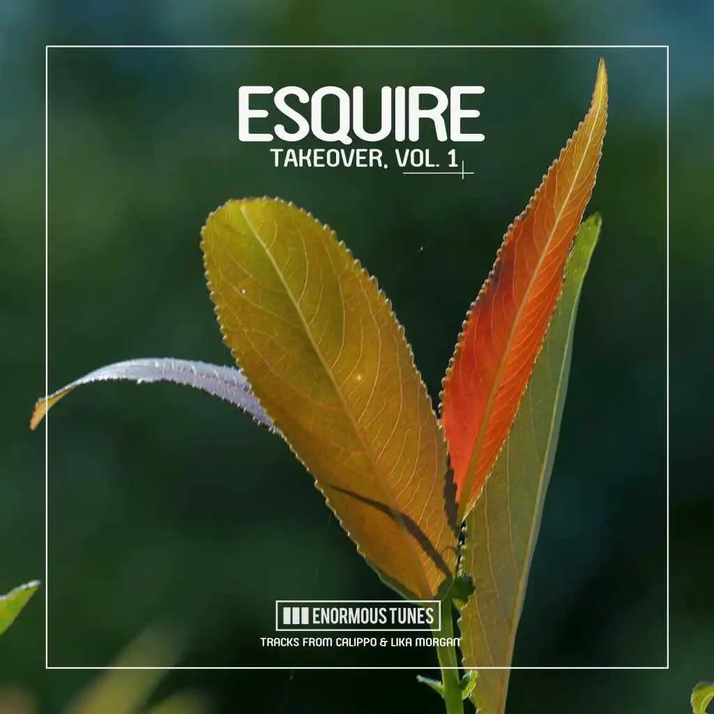Discovery Channel (eSQUIRE Remix Edit)