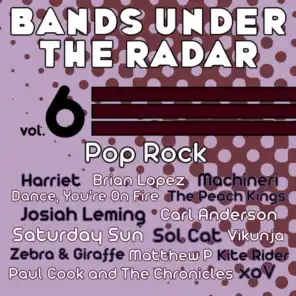 Bands Under the Radar, Vol. 6: Pop Rock