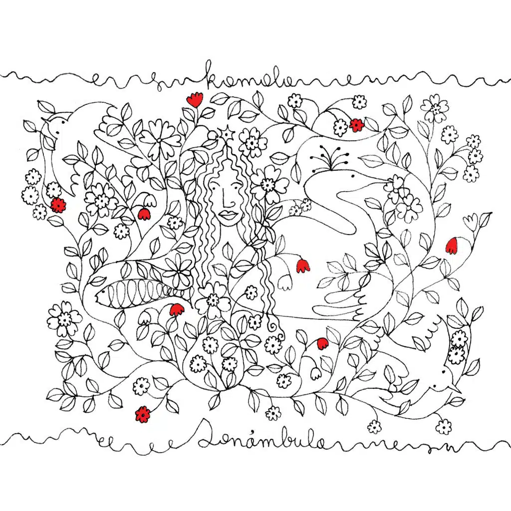 El Espejo Inverso de las Vanidades