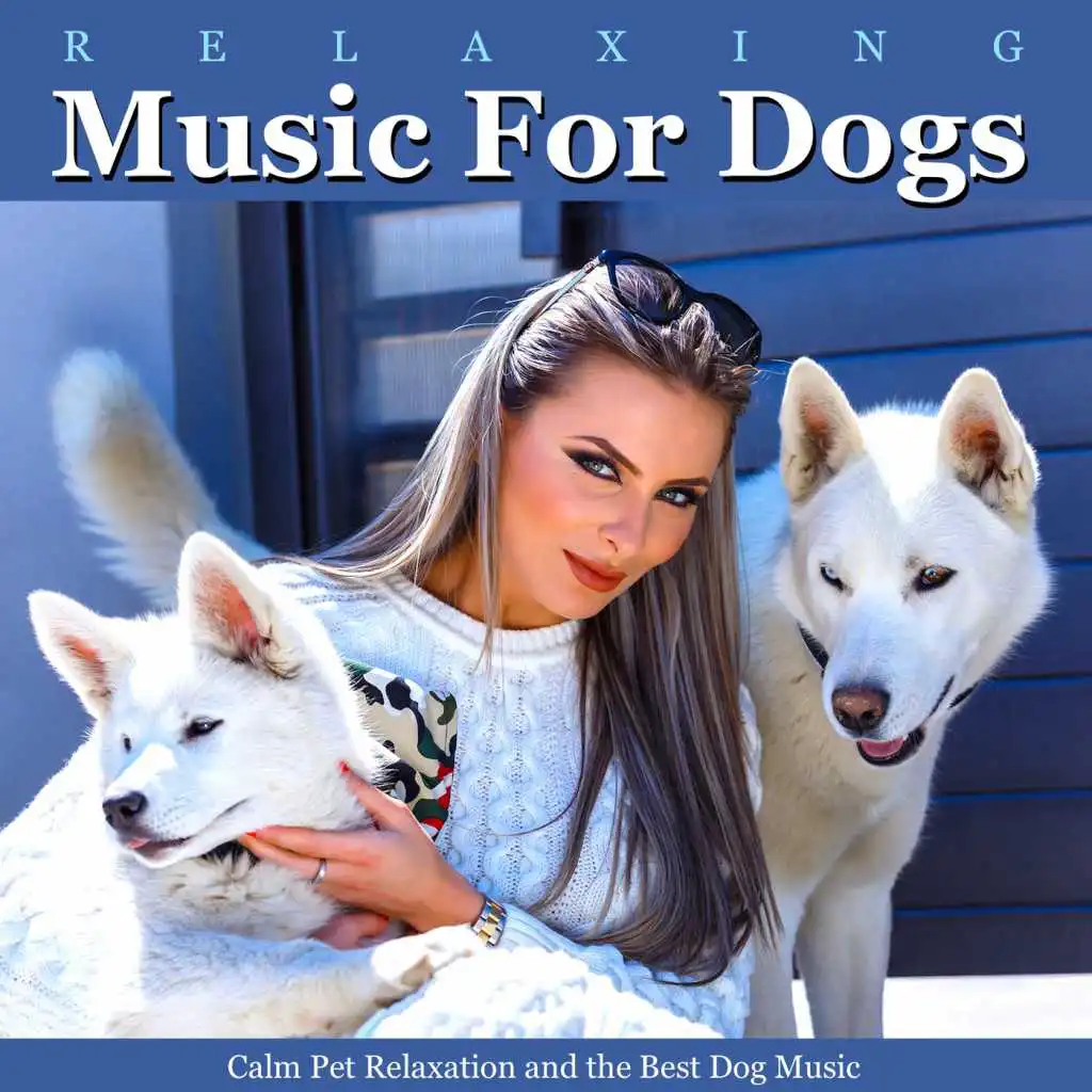 Relaxing Music for Dogs (Guitar)