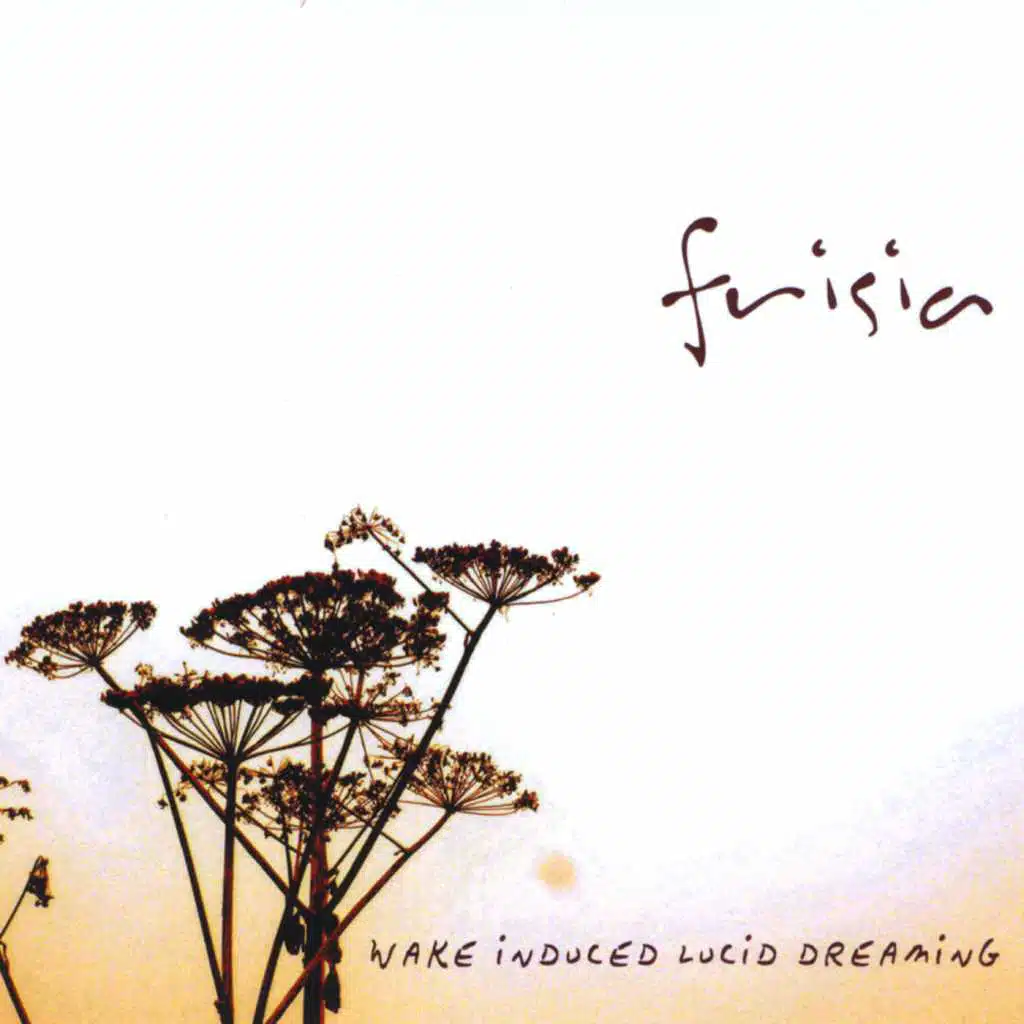 Wake Induced Lucid Dreaming