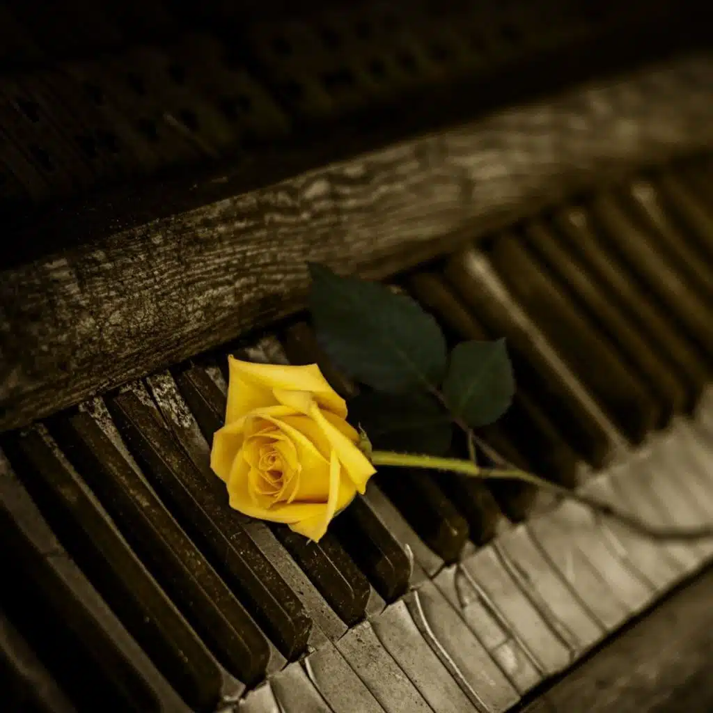 A Very Brady Special