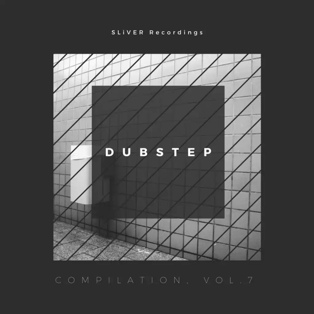 Sliver Recordings: Dubstep, Compilation, Vol. 7