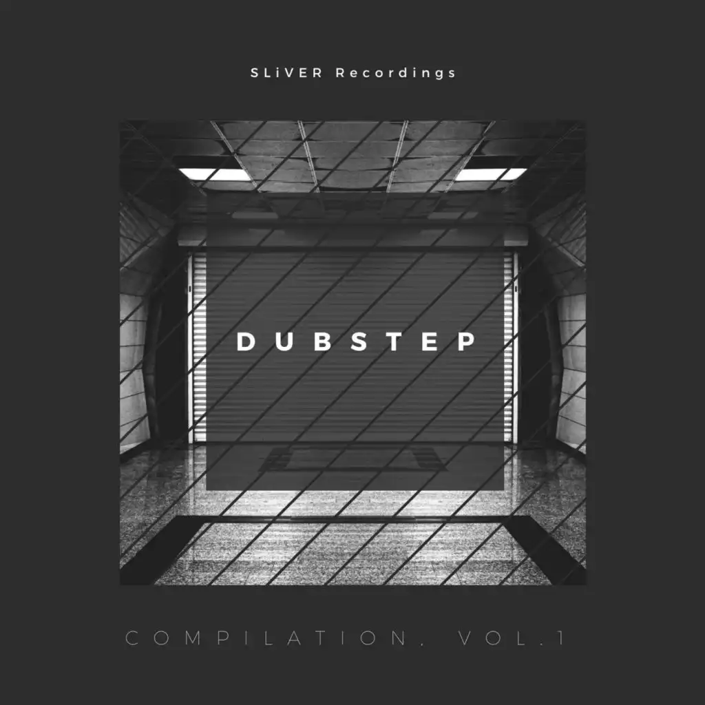 Sliver Recordings: Dubstep, Compilation, Vol. 1