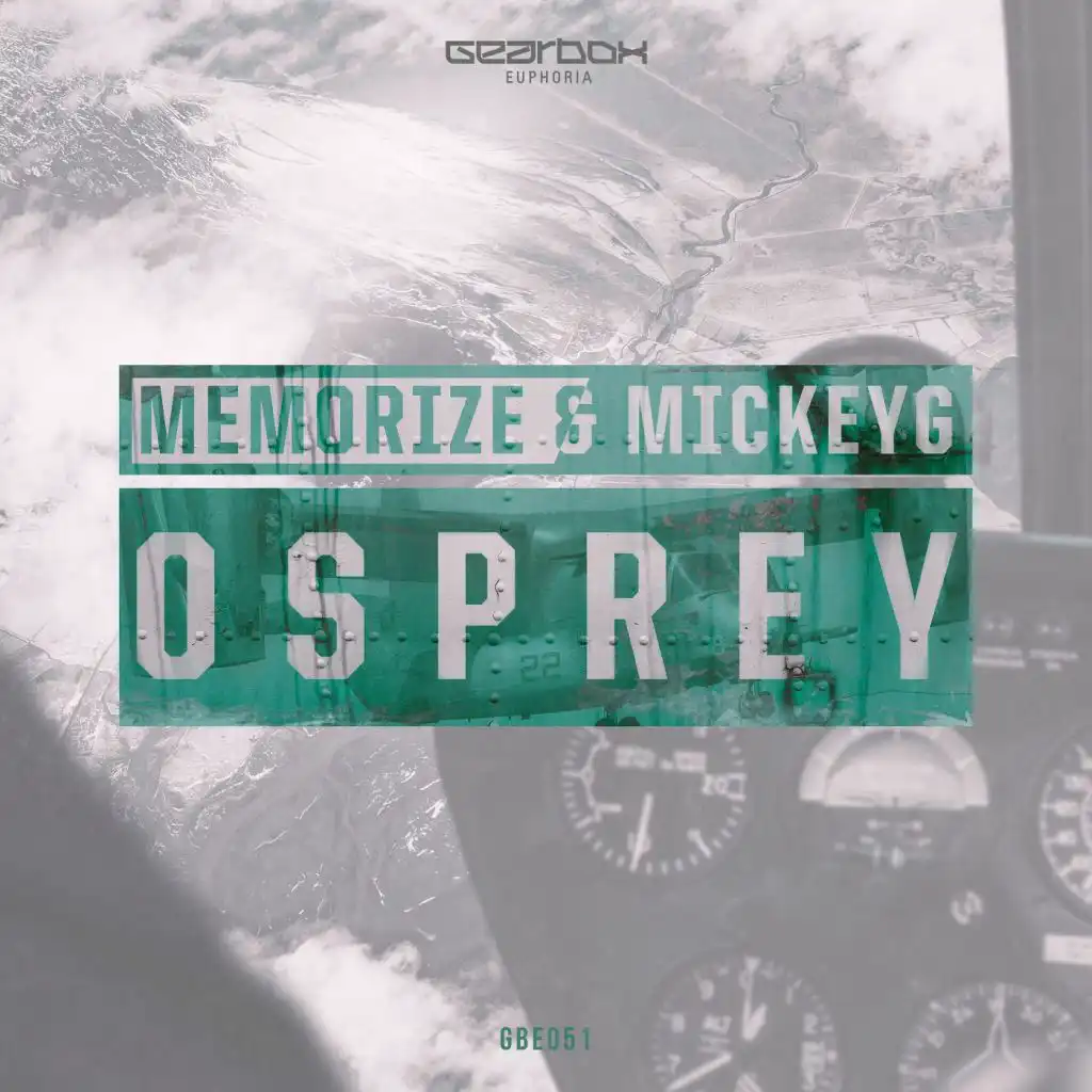 Memorize & MickeyG