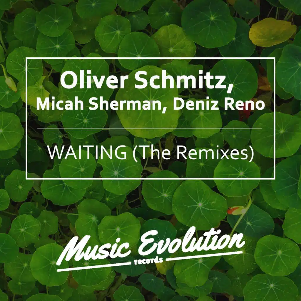 Oliver Schmitz, Micah Sherman, Deniz Reno