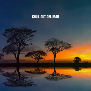 Chill Out Del Mar
