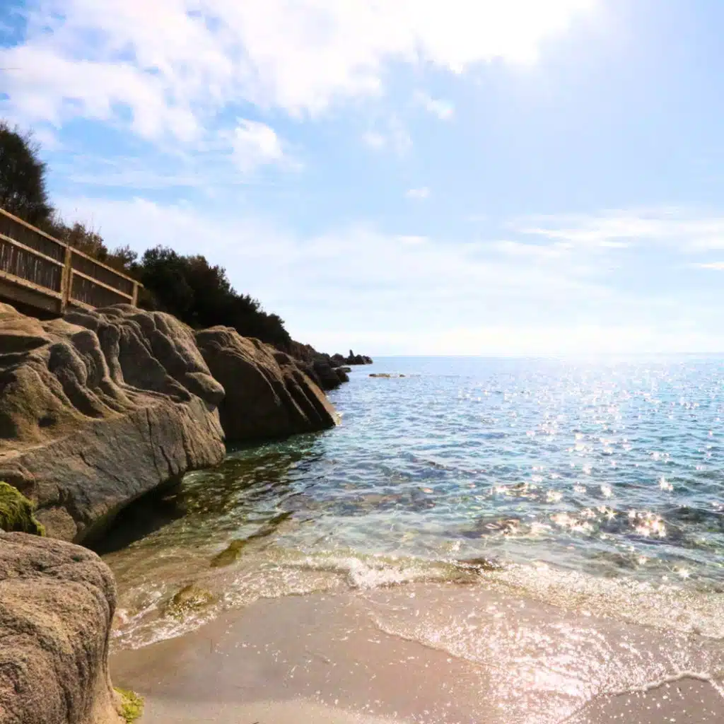 Beached On An Island With Only Memories & Hope