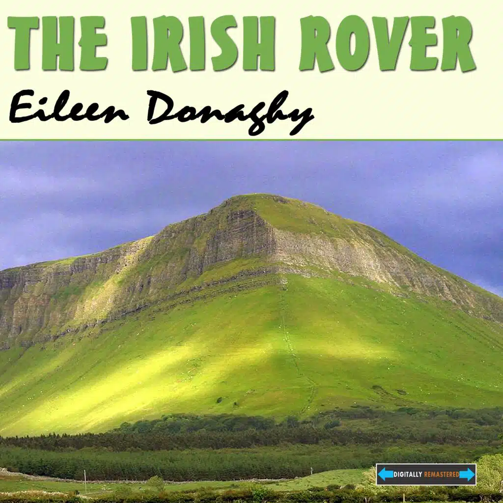 The Irish Rover